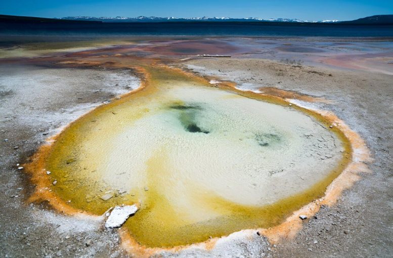 Yellowstone National Park Hot Spring