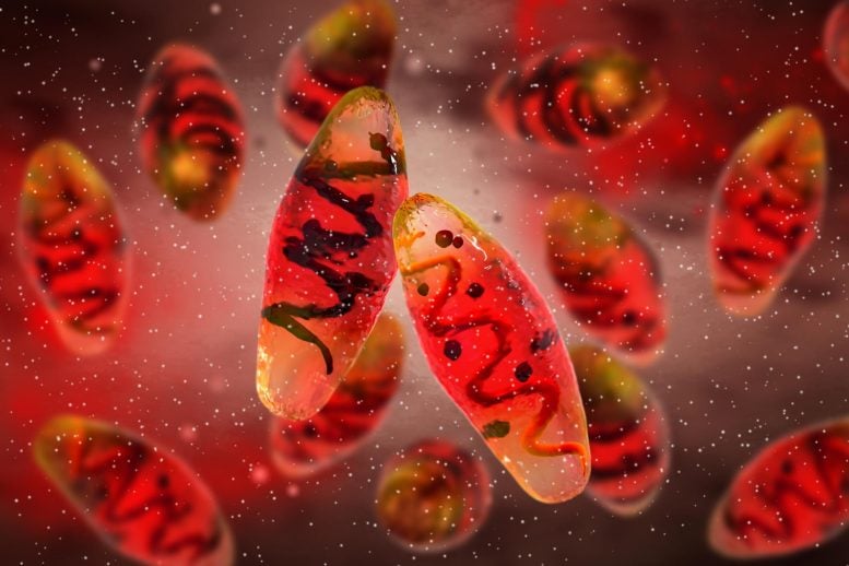 A 4,000-Year-Old Sheep Just Helped Solve One of History’s Deadliest Mysteries