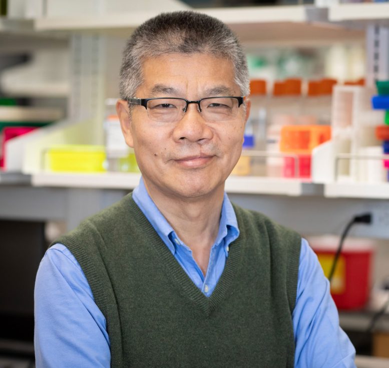 Yingzi Cong