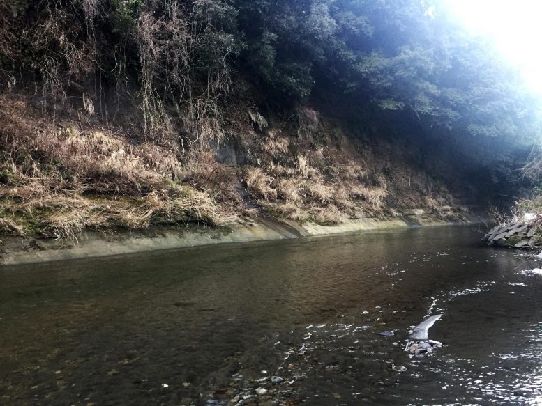 Yoro River Section