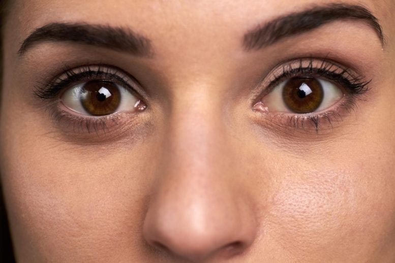 Their Eyes Reveal Whether They’re Actually Listening