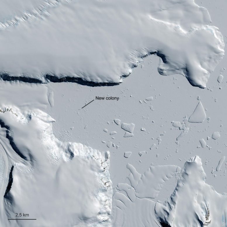 Yule Bay Antarctica
