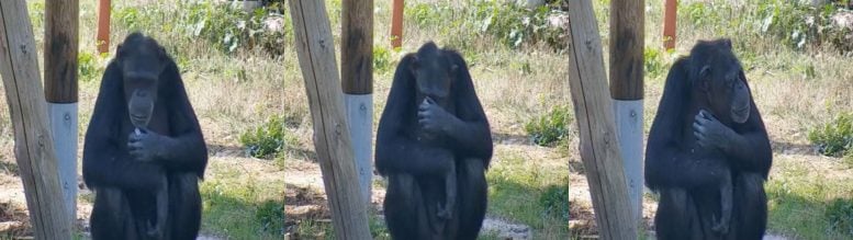 Yvan Interacts With Small Crystal