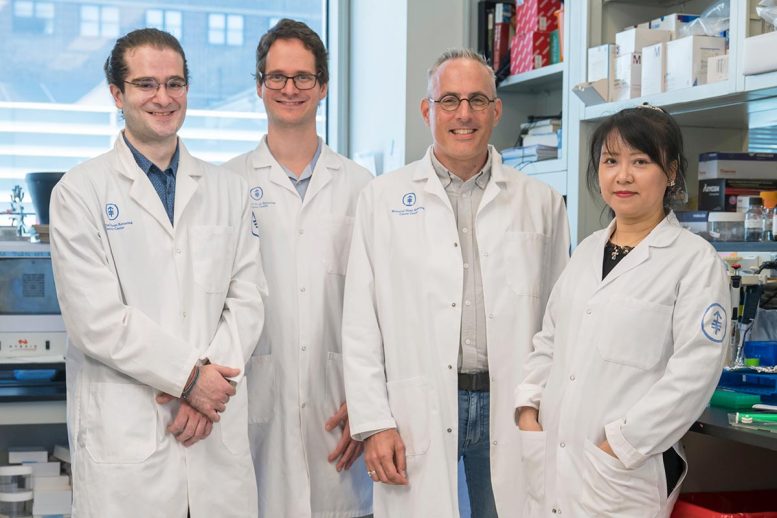 Zaza Gelashvili, Dr. Miklos Lengyel, Dr. Philipp Niethammer, and Dr. Yanan Ma