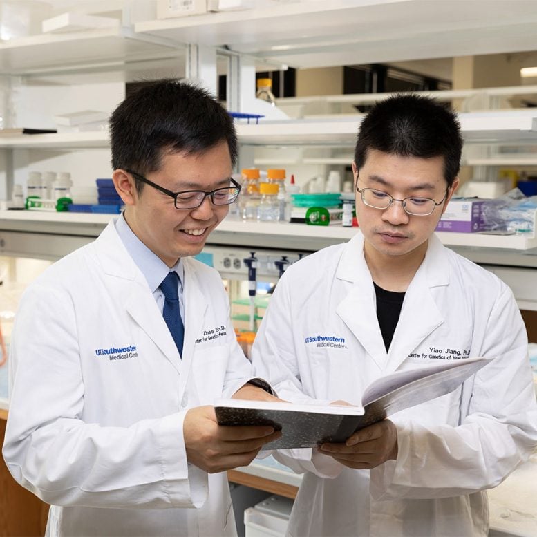 Zhao Zhang and Yiao Jiang