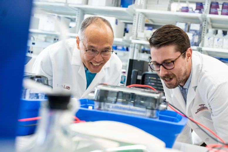 Zhen Yan and Ryan Montalvo