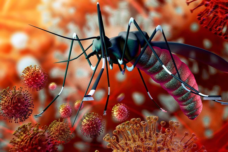 Zika Malaria Mosquito Virus Concept Illustration