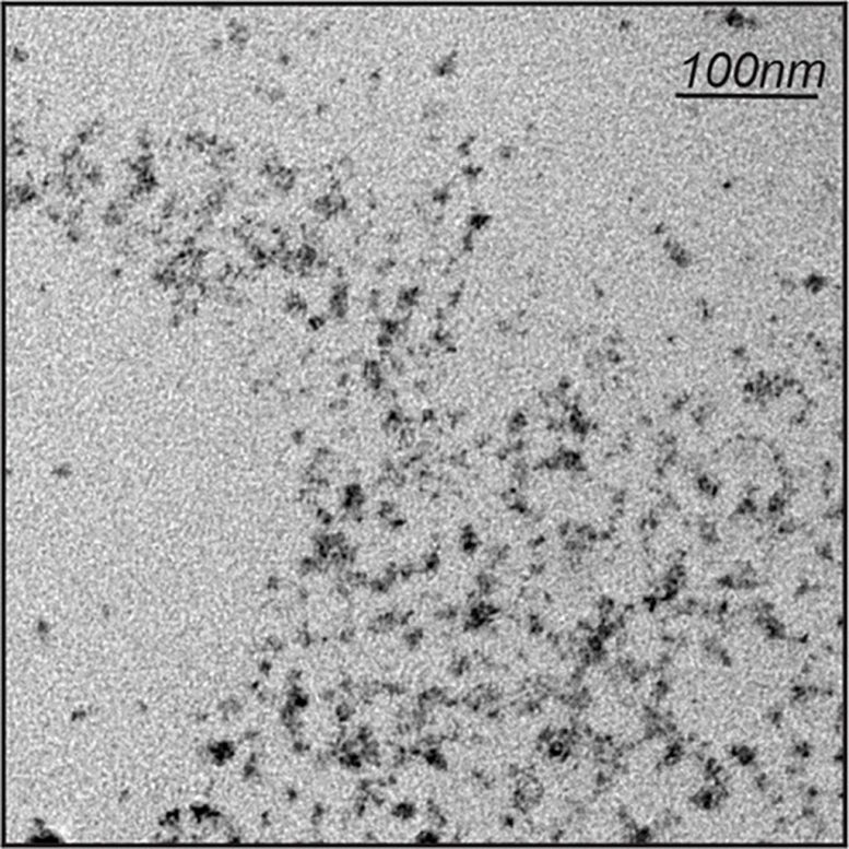ZnS Hyperbranched Polymer Particles