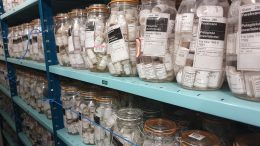 Zooplankton Collections Ready for Future Researchers