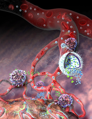a nanolipogel administering its immunotherapy cargo