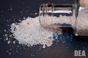 bath salts act like cocaine in the brain