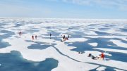biologists find massive algal blooms under Arctic sea ice