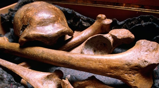 bones-neanderthal-dating