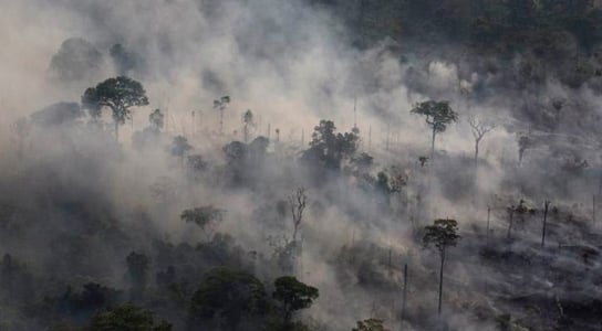 Burning Peruvian Amazon
