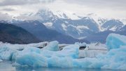 columbia-glacier-alaska-sea-ice