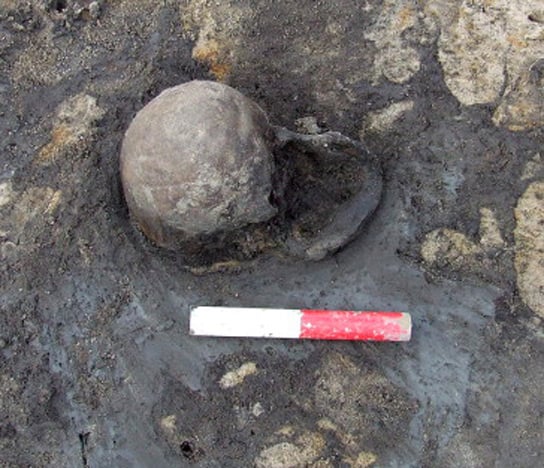 cranium-iron-age-yorkshire-bog