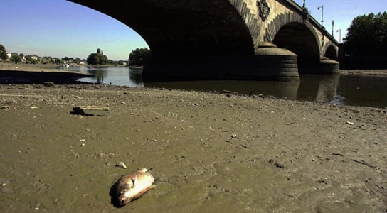 dead-fish-europe-waterways