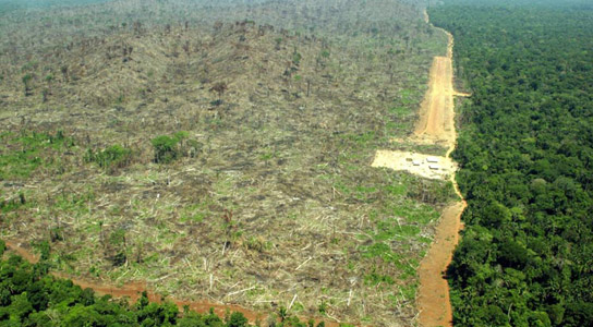 deforestation-argentina-independent