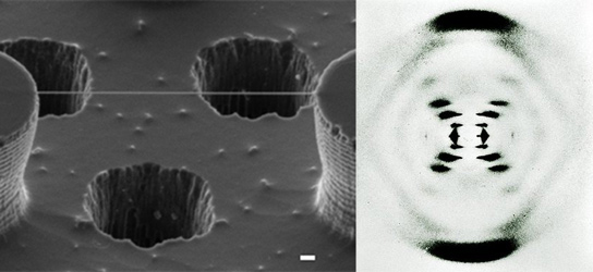 Primera imagen de microscopio electrónico de la doble hélice del ADN ...