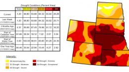 drought-conditions