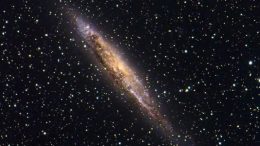 dusty-seyfert-galaxy