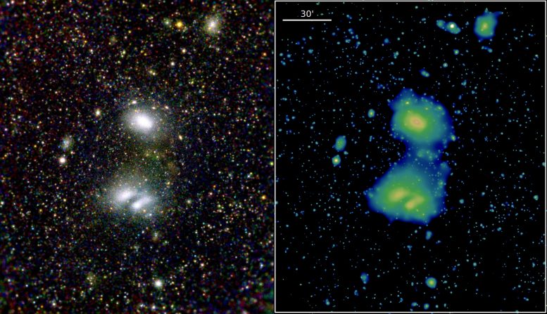eROSITA Galaxy Clusters