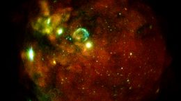 eROSITA Large Magellanic Cloud
