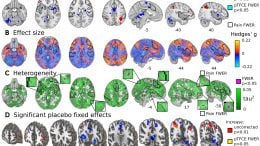 fMRI Activity Placebo Effects