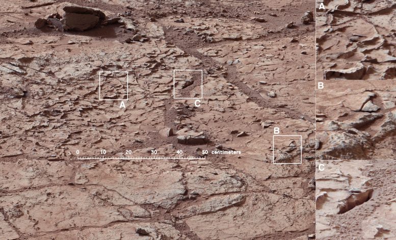 Flat Lying Rock Selected as the First Drilling Site for NASAs Curiosity Rover