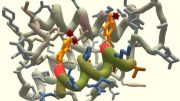 foldit-crowdsourcing-protein-redesign