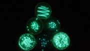 glowing-bacteria-petri-dish