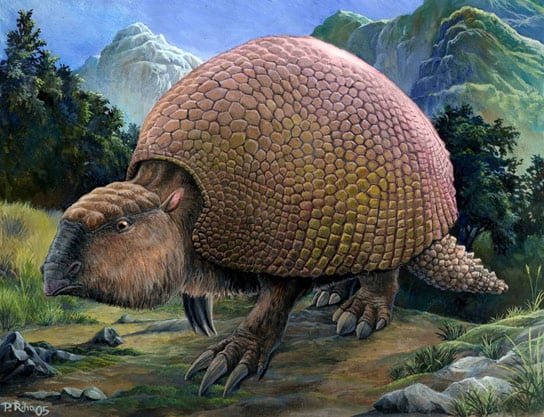 Extinct Animals From the Pleistocene Discovered in Mexico