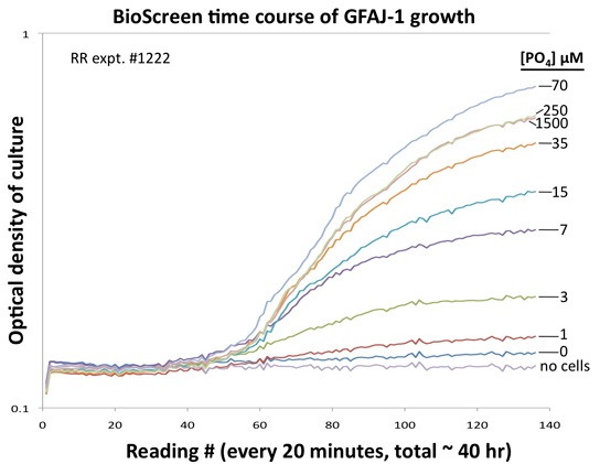 graph-gfaj-1-growth