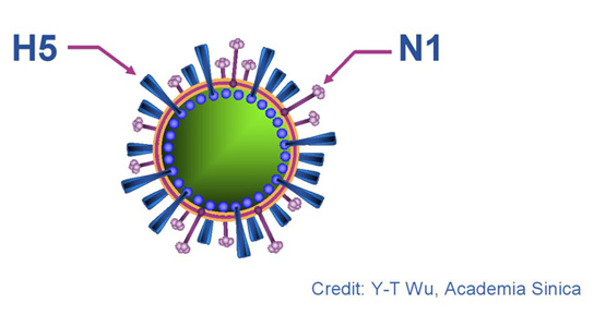 h5n1-virus-wu