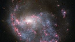 hubble views spiral galaxy NGC 922