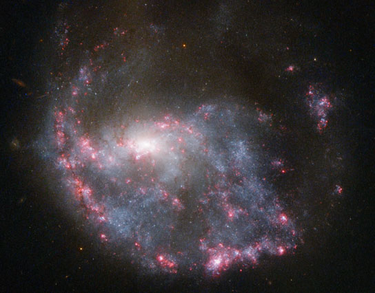 hubble views spiral galaxy NGC 922