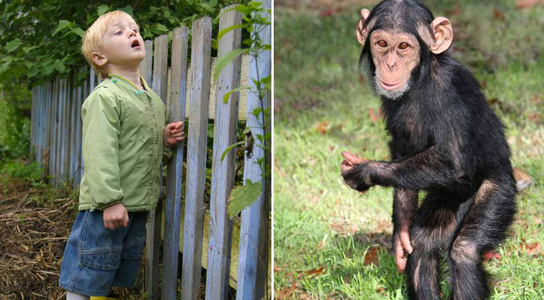 human-chimpanzee-kids