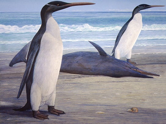 kairuku-penguin-dolphin
