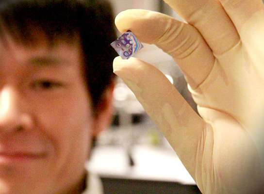 Koji Usami shows the holder with the semiconductor nanomembrane