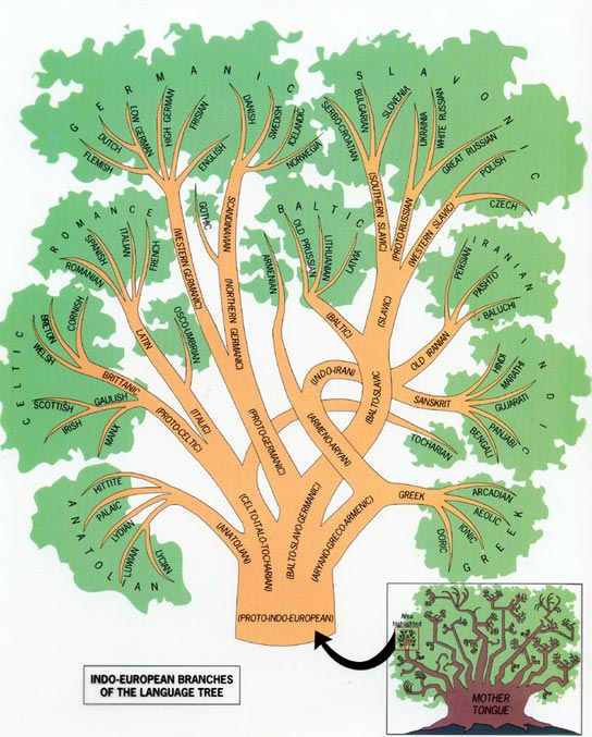 language-family-tree