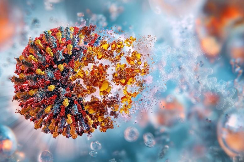 mRNA Vaccine Virus Interaction Viral Particle Destruction