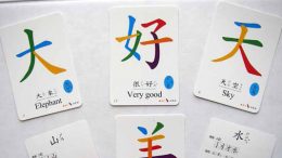 mandarin-flash-cards