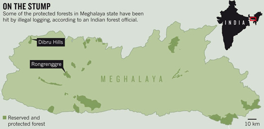 meghalaya-forest-cover
