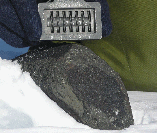 meteorite analyzed in the study at its collection site in Antarctica