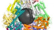 nanoscale protein containers could aid drug, vaccine delivery