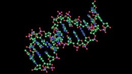 new transcription factors that can bind to DNA and turn on specific genes