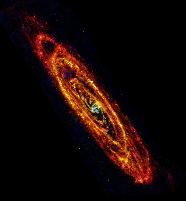 A New View of the Andromeda Galaxy from the Herschel Space Observatory