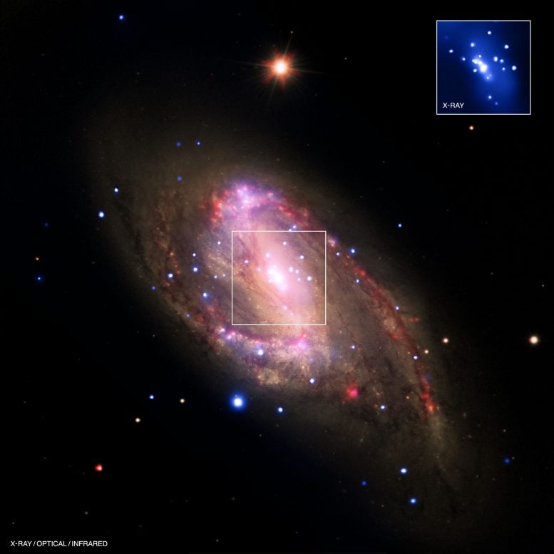 Galaxy NGC 3627