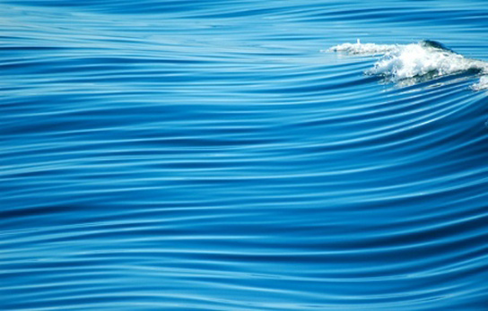 ocean-carbon-absorption