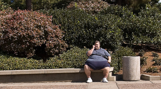 overweight-person-bench
